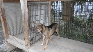 IMGP1880.jpg