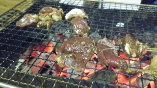 IMGP1894.jpg
