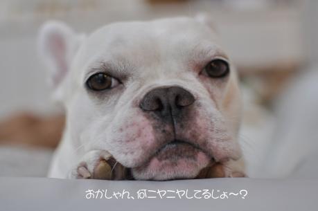_DSC0043_3602.jpg