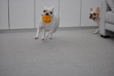 _DSC0162_4401.jpg