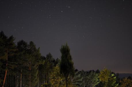 _DSC0355_3963.jpg
