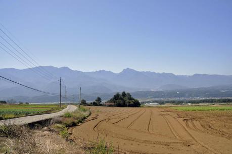 _DSC0388_3822.jpg