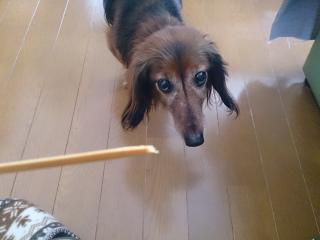 moblog_de7666bc.jpg