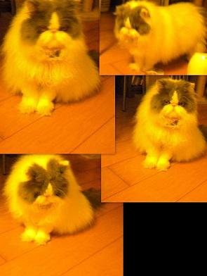 2014-09-20 - コピー
