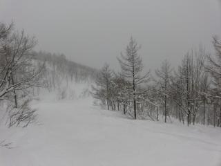 林間コースも滑る
