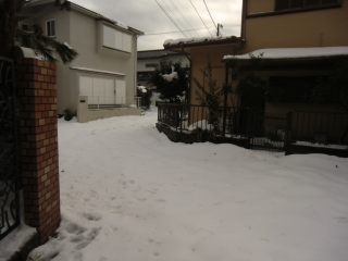 大雪