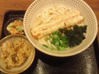 博多うどんデビュー