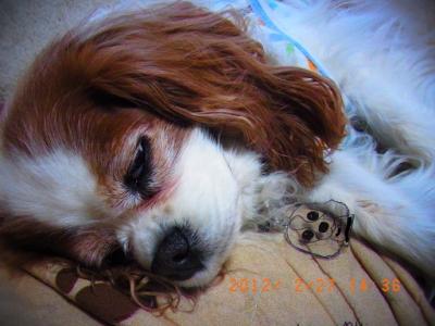 2012_02270029.jpg