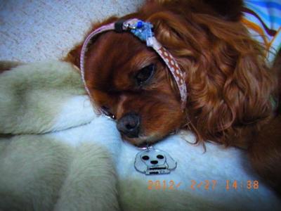 2012_02270030.jpg