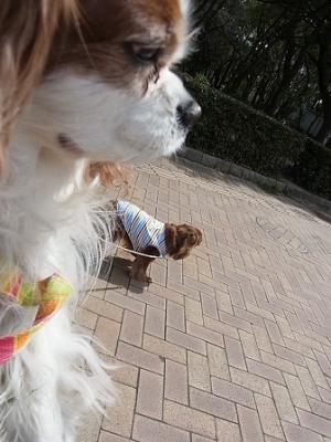 2012_03200040_20120323162716.jpg