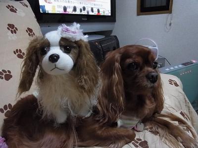 2012_04070017.jpg