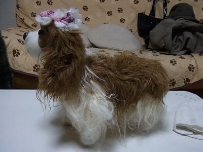 2012_04070025.jpg