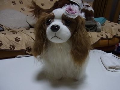 2012_04070028_20120408215317.jpg