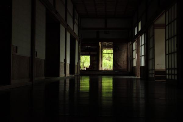1205047.jpg