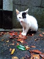 2011-08-17_2012_30_33.jpg