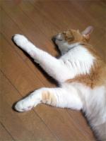 20110821ee01.jpg
