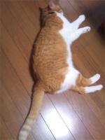 20110821ee02.jpg