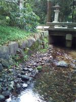 2011ee0820blog1.jpg