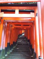 2011ee0820blog2.jpg