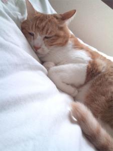 2011eeblog10082.jpg