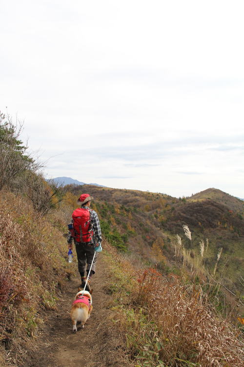 20131103 山13-楽しい稜線歩き1