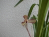 015_20131214112812add.jpg