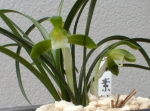 hiraiyama_20131214111245a26.jpg