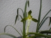 syoukousi2_2013121411163174c.jpg