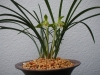 syoukousi3_2013121411163428f.jpg
