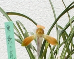 toujyou1.jpg