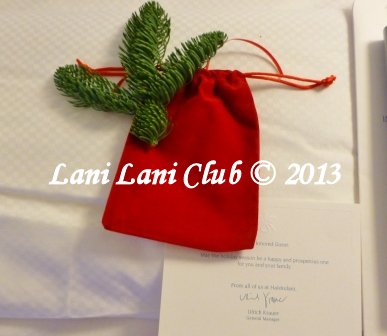 2012Xmas_ornament_resized_LaniLaniClub