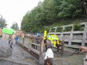 1681d058-e6d5-11e0-83c8-00262d09affa_medium[2]