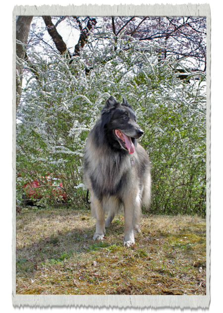 20120413b