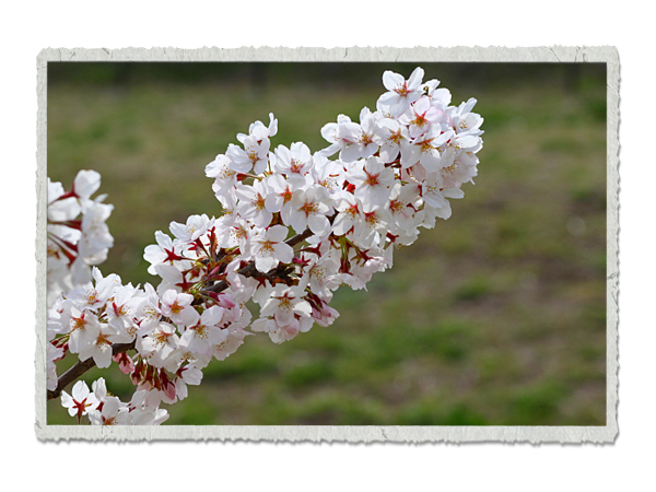 20120413l