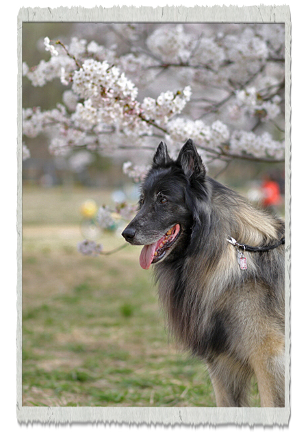 20140413m