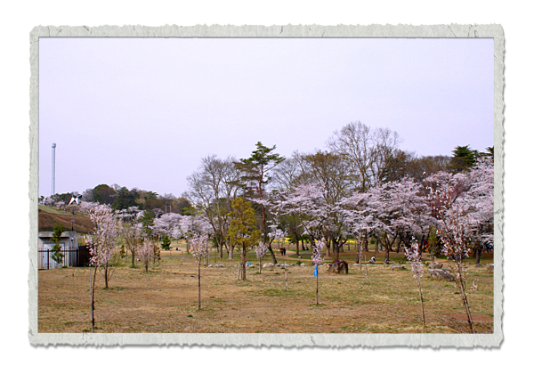 20120413k