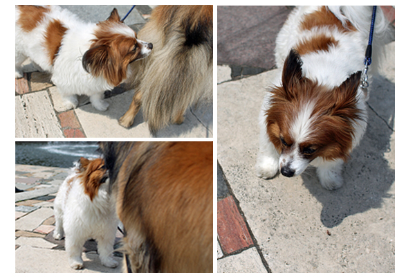 20120417⑥