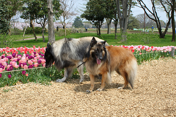 20120417⑫