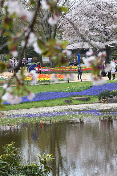 20120417⑪