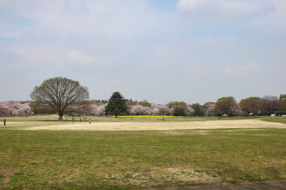 20120417⑨