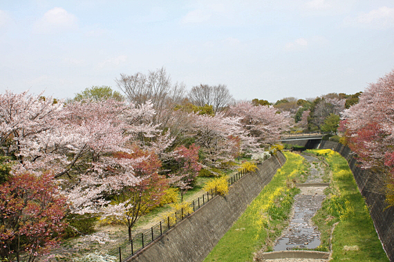 20120417⑧
