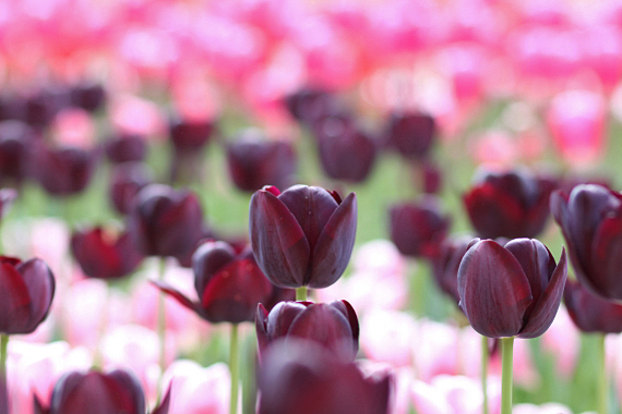 20120417⑲