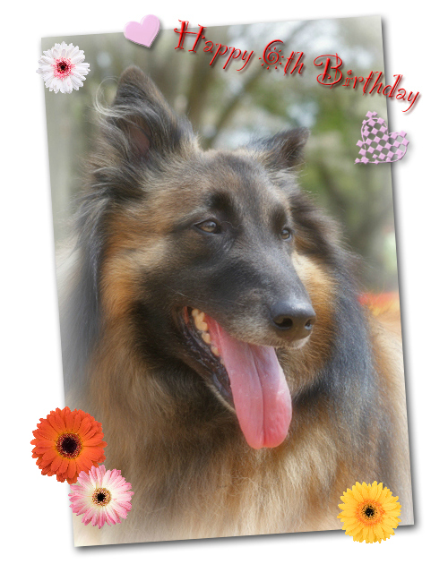 birthday4.jpg