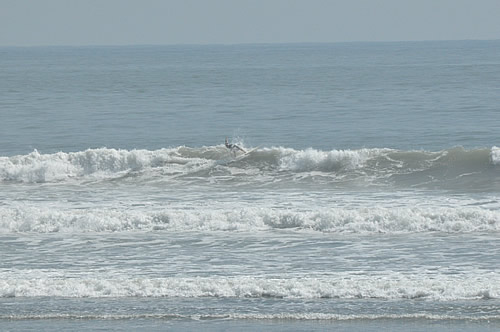 110828_02.jpg