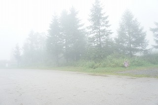 DSC03731.jpg