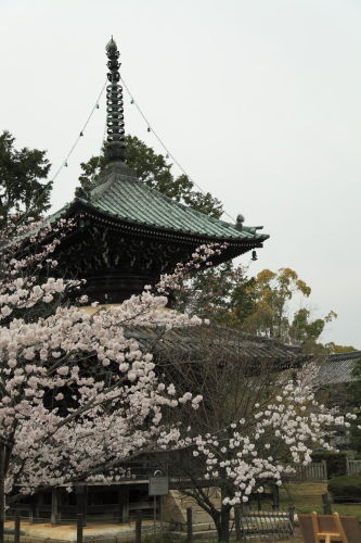 清涼寺
