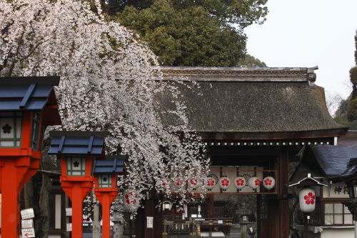 平野神社03