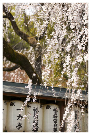 大石神社01