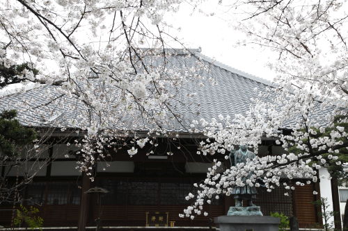 墨染寺01