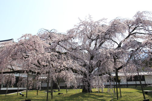 醍醐寺05